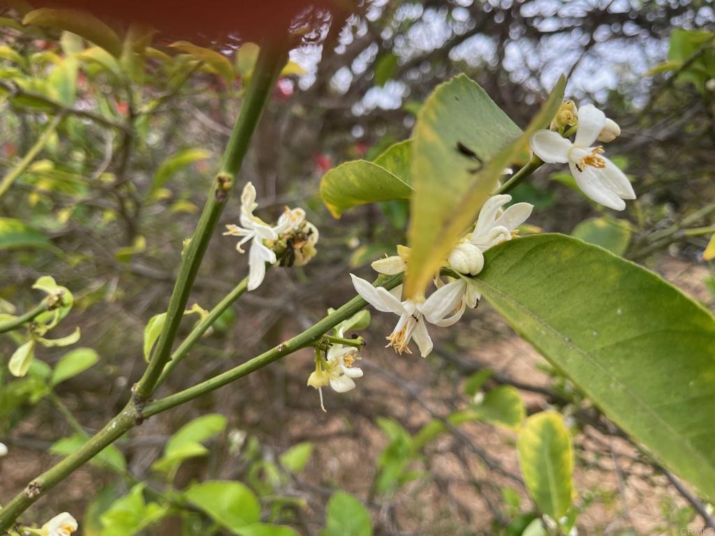 3328 Roosevelt Street - photo 10