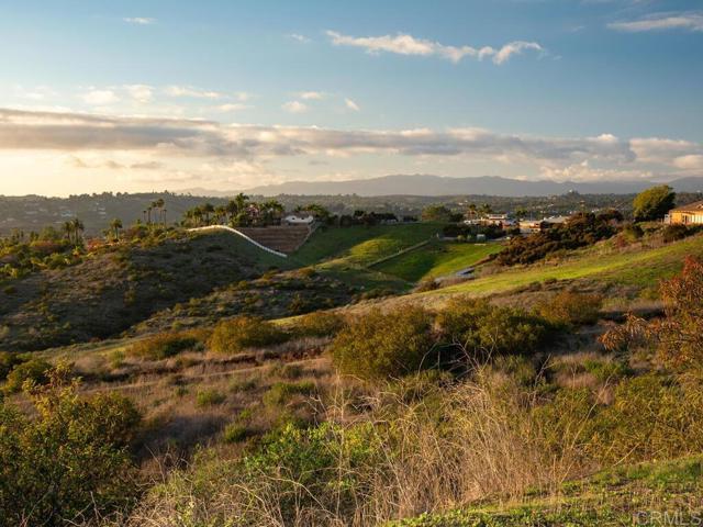 0 Chisholm Trail, Bonsall, California 92003, ,Land,For Sale,0 Chisholm Trail,CRNDP2400890