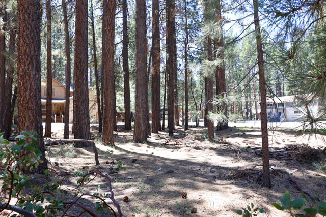 689 Summit Boulevard, Big Bear CA: https://media.crmls.org/mediaz/2dc6240f-a7c1-4800-81f4-c902e6a57986.jpg