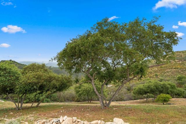 2389 Eric Road, Fallbrook CA: https://media.crmls.org/mediaz/2dc76b63-2b52-4f3d-8f5c-637aa123ff45.jpg