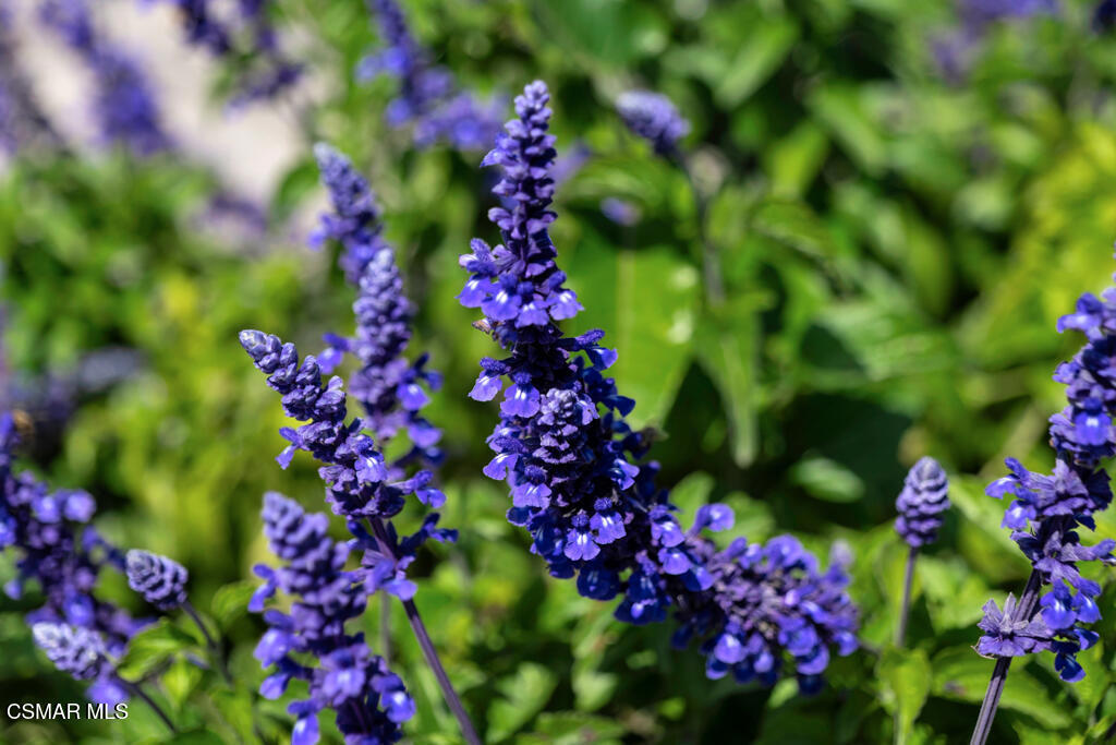 https://media.crmls.org/mediaz/2dc7ba31-7688-4f50-a413-47965aa613c7.jpg?preset=X-Large
