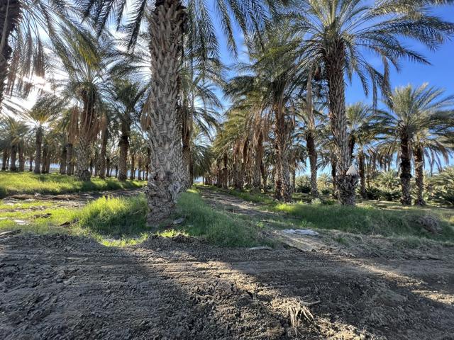 0 Nwc Pierce St & Ave 64, Thermal CA: https://media.crmls.org/mediaz/2dd162af-59d0-4e17-bb0d-16c9e9278698.jpg