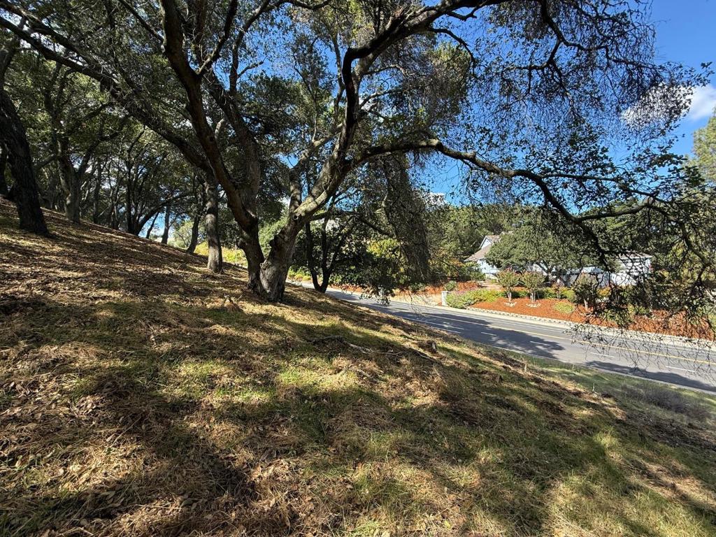 MLS #ML82024668 image #9