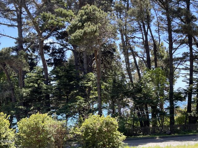 45300 Headlands Drive, Mendocino CA: https://media.crmls.org/mediaz/2dd665f9-4468-4148-b47b-cb4a0f2bf648.jpg