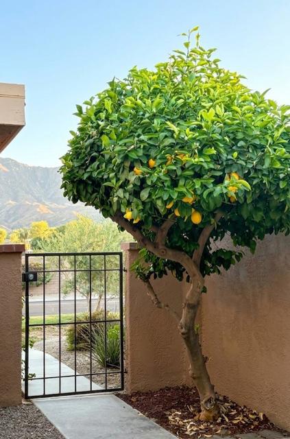 140 La Cerra Drive, Rancho Mirage, CA 92270
