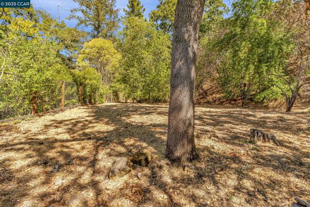 240 CASTLE GLEN ROAD, Walnut Creek CA: https://media.crmls.org/mediaz/2de317e0-2304-47a4-a7a6-a568df83a27f.jpg