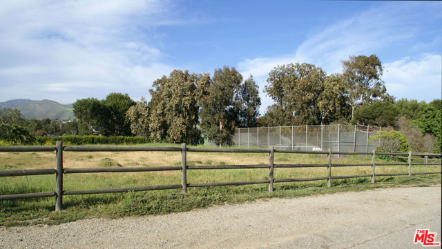 29011 GRAYFOX Street photo 6
