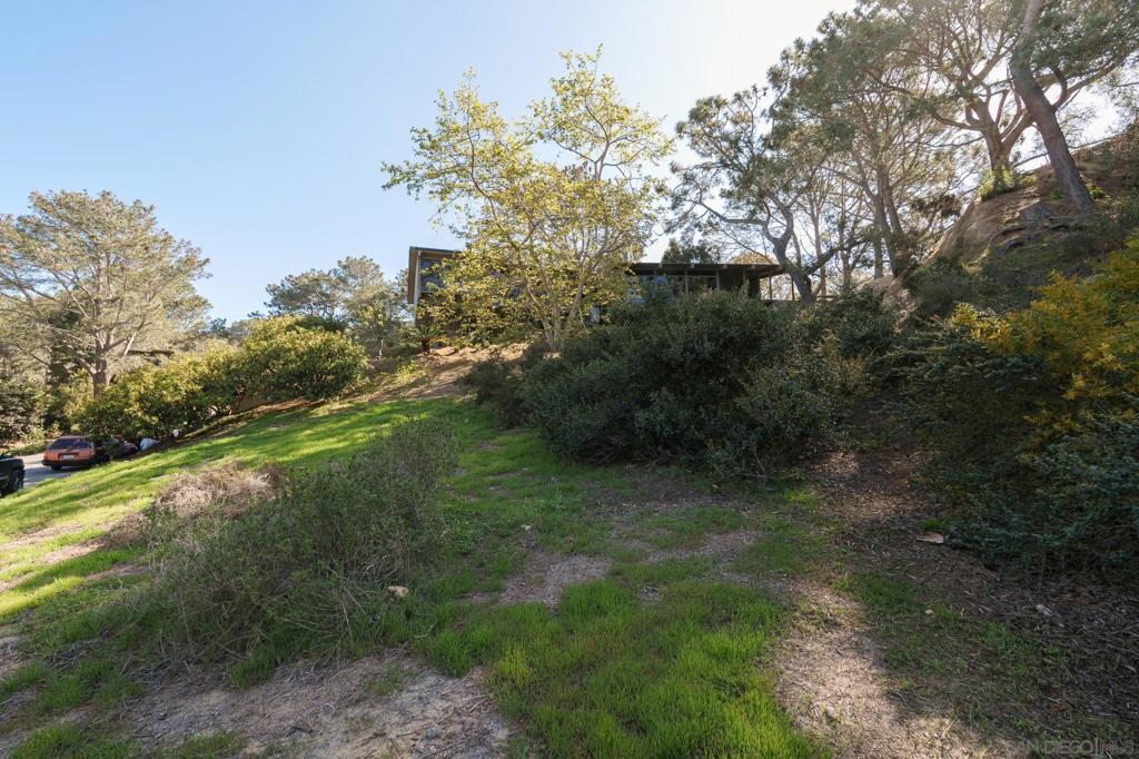Hidden Pines Rd Del Mar - photo 17
