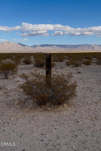 Detail Gallery Image 21 of 38 For 26 Cheyene, Baker,  CA 92309 - – Beds | – Baths