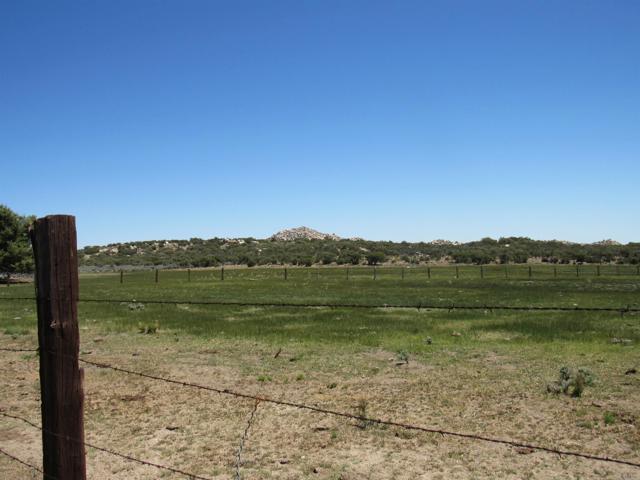 Detail Gallery Image 24 of 47 For 200 Acres Mccain Valley Rd, Boulevard,  CA 91905 - – Beds | – Baths
