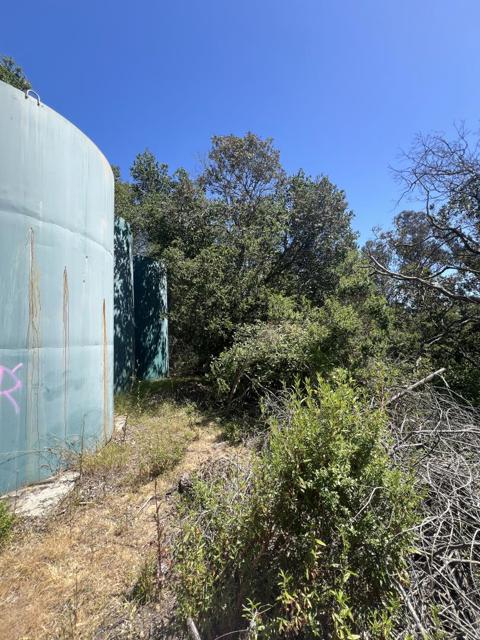 17160 Wilson Way, Royal Oaks CA: https://media.crmls.org/mediaz/2e117ba0-1204-4fe8-80d0-411878c62848.jpg