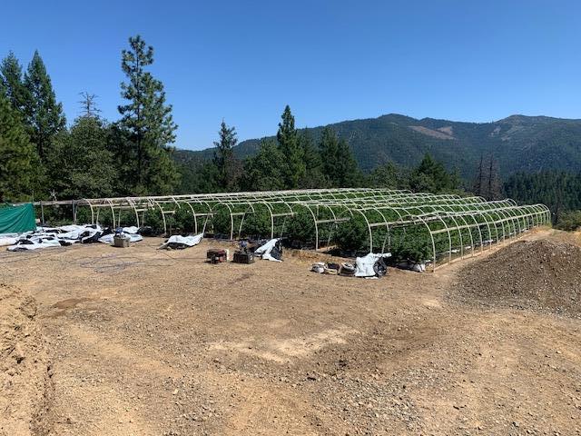 1900 Devils Gulch Road, Hayfork CA: https://media.crmls.org/mediaz/2e131eea-8b53-40b8-80c0-d1919aa978ee.jpg