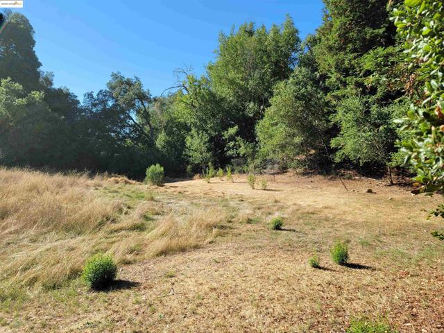 40 Hilldale Ct, Orinda CA: https://media.crmls.org/mediaz/2e13667b-db6c-42dc-a192-87b5bebe1760.jpg