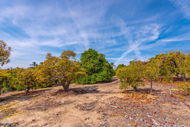 Detail Gallery Image 44 of 51 For 5275 N Creston Ln, Somis,  CA 93066 - 4 Beds | 3 Baths
