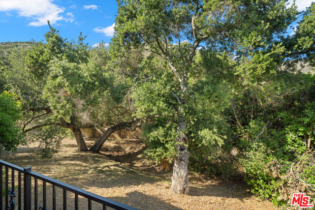 1772 Tamarack Street photo 4