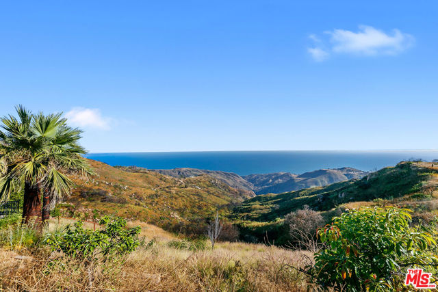 23010 Saddle Peak Road photo 7