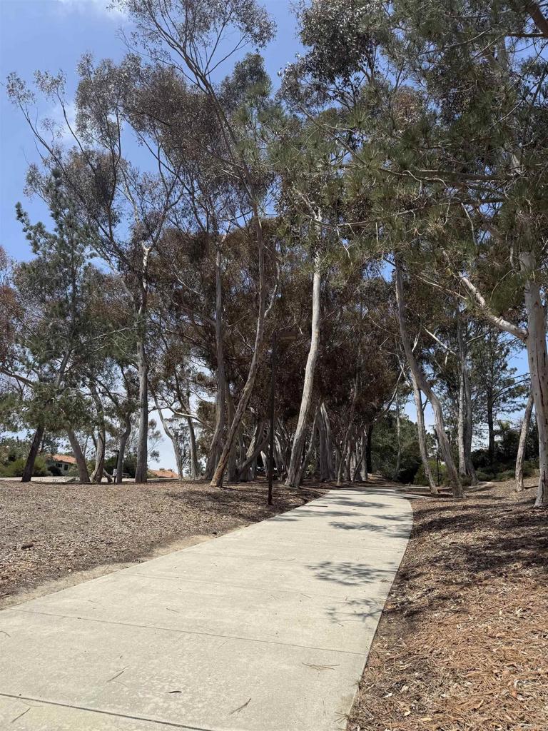 3502 Seahorn Circle - photo 8