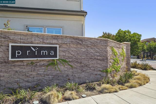 38976 Primula Ter, Newark CA: https://media.crmls.org/mediaz/2e2d5e0e-80eb-41fd-8b05-dcb0b2701aa9.jpg