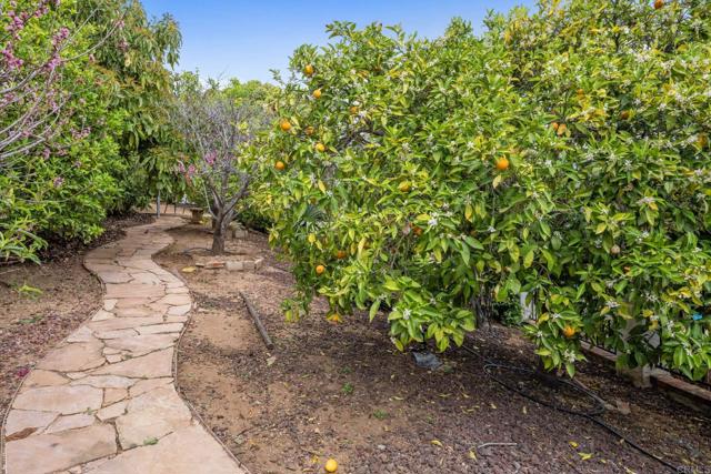 620 Lacrosse Place, Escondido CA: https://media.crmls.org/mediaz/2e2ef66f-ad50-4cc8-ade6-f5c8334079c3.jpg