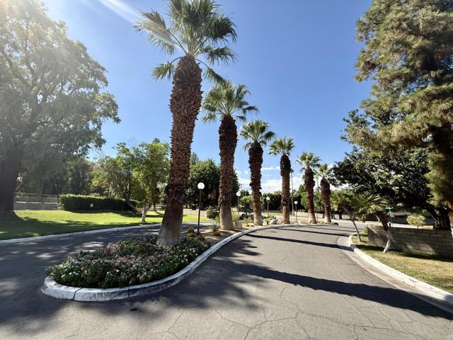 2875 N Los Felices Road, Palm Springs CA: https://media.crmls.org/mediaz/2e302de8-a229-4989-a079-9c61f7db4395.jpg