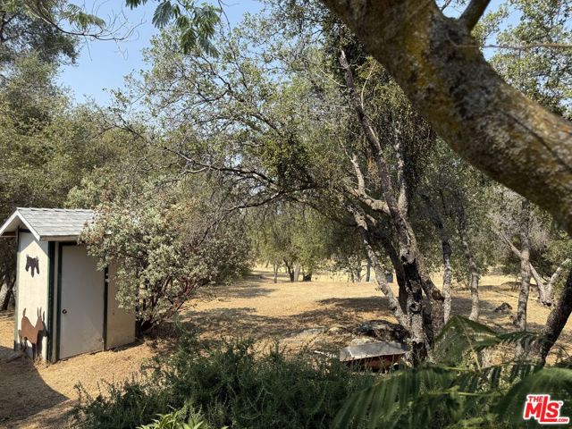 31199 Rolling Meadow Court, Coarsegold CA: https://media.crmls.org/mediaz/2e363e37-8ba0-42cd-9378-97b7e54cee72.jpg