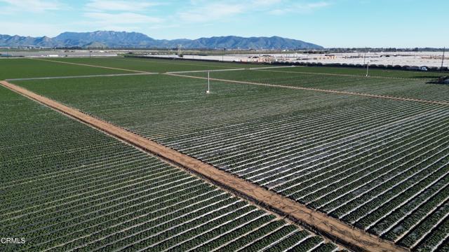 Detail Gallery Image 3 of 10 For 2151 E Wooley Rd, Oxnard,  CA 93030 - – Beds | – Baths