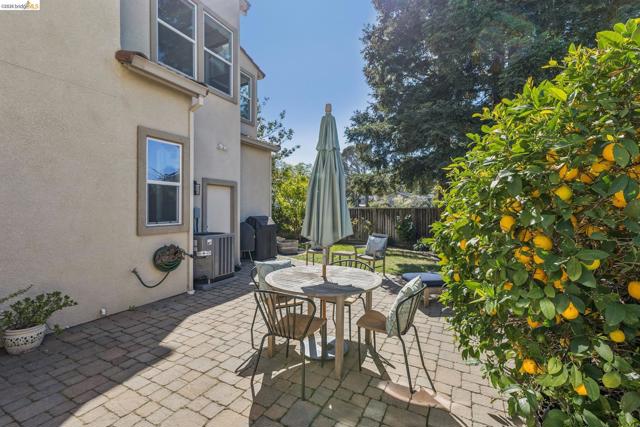 Image 43 of 49 For 548 Gabriel Ct