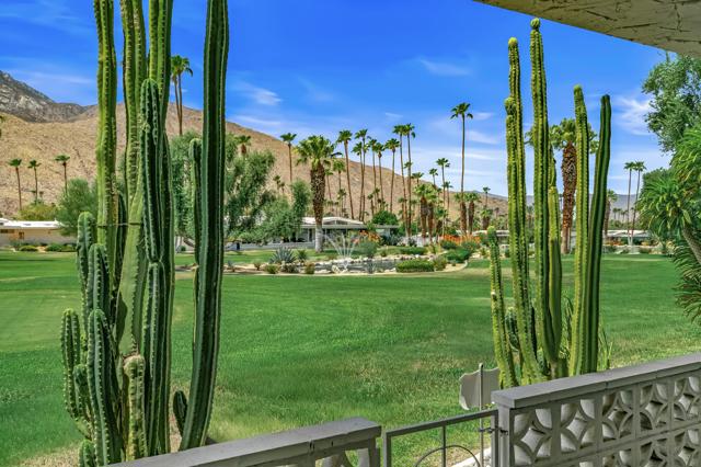 2321 S Madrona Drive, Palm Springs, CA 92264