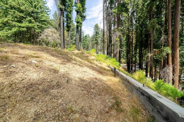 1035 Rambling Road, Boulder Creek CA: https://media.crmls.org/mediaz/2e5b59cb-0c46-4f45-8da4-ca4a3b06fbba.jpg
