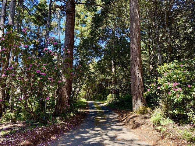 32691 Pearl Drive, Fort Bragg CA: https://media.crmls.org/mediaz/2e6a9cde-6407-48ee-a83c-5cfaf3aeb385.jpg