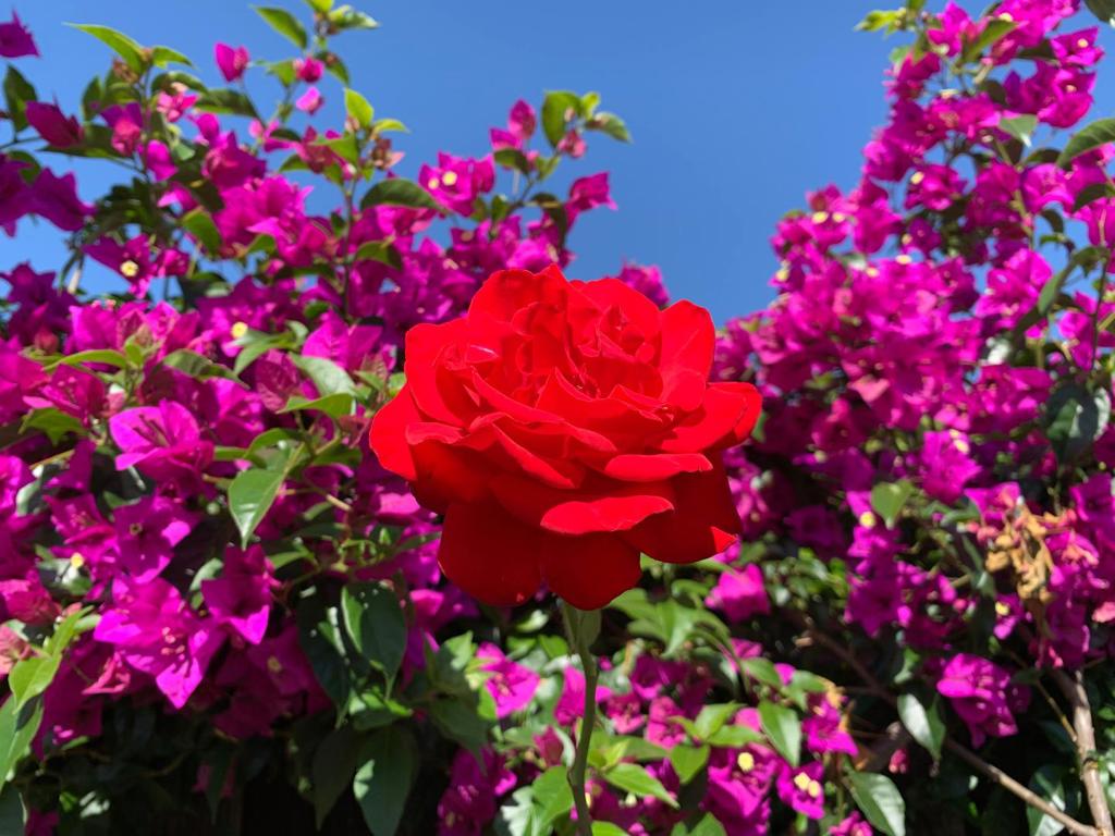 https://media.crmls.org/mediaz/2e71dba6-7918-41b1-b552-98ea62b1367a.jpg?preset=X-Large