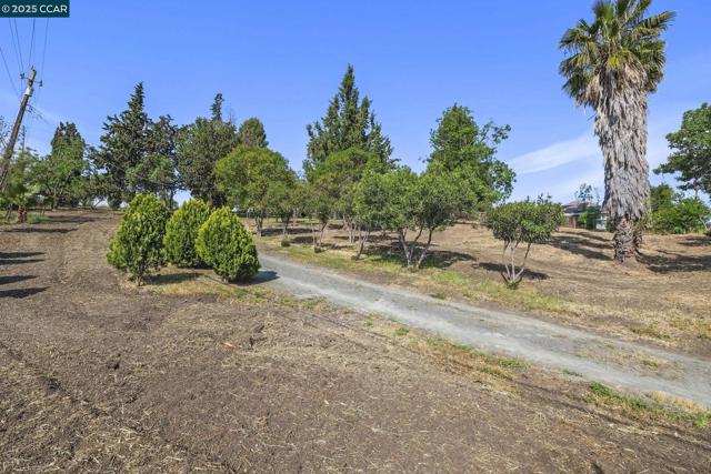 1051 Tilley Cir, Concord CA: https://media.crmls.org/mediaz/2e7a4fae-1f6f-412a-a6b6-e13d4b80fc4e.jpg