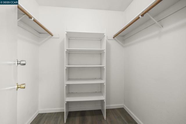 Large Primary Closet