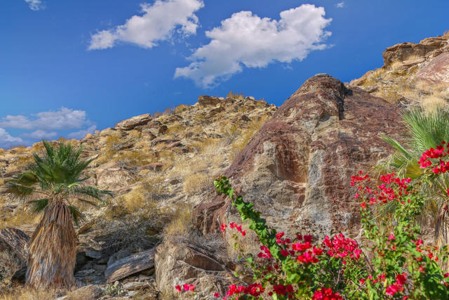 0 Ridge Road, Palm Springs CA: https://media.crmls.org/mediaz/2e815977-7fc8-46ff-9ff7-f92d04aabf54.jpg