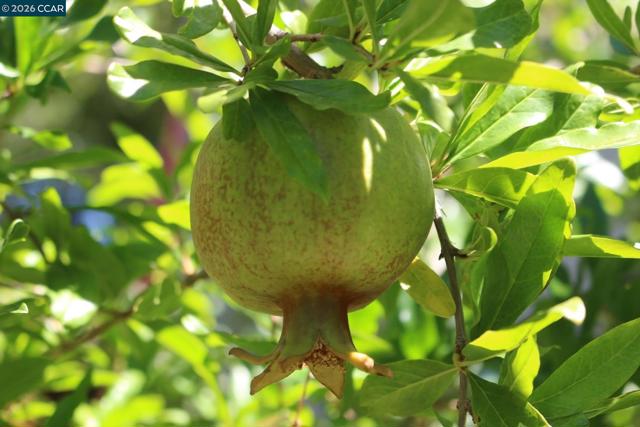 Image 52 of 60 For 34 Elmwood Dr