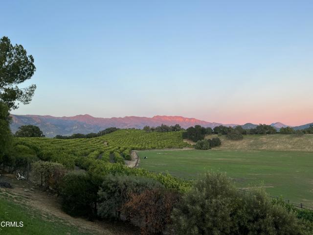 1920 Tiara Drive, Ojai CA: https://media.crmls.org/mediaz/2e9c5b7f-18d4-4a7b-af20-84eef090866b.jpg
