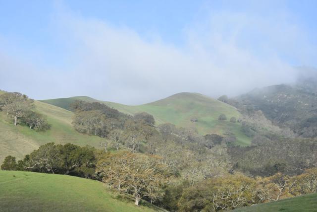 Image 22 of 23 For 1700 Finley Road