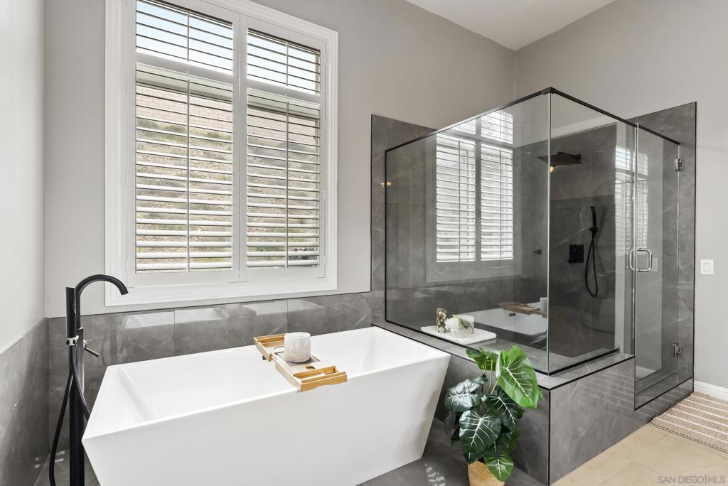 MLS #250032415SD img 29