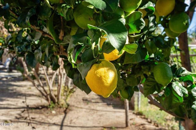 Detail Gallery Image 55 of 65 For 2764 Petit St, Camarillo,  CA 93012 - 2 Beds | 2 Baths