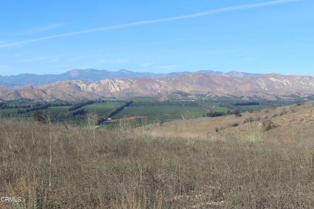 Detail Gallery Image 31 of 32 For 1672 E Los Angeles Ave, Somis,  CA 93066 - – Beds | – Baths