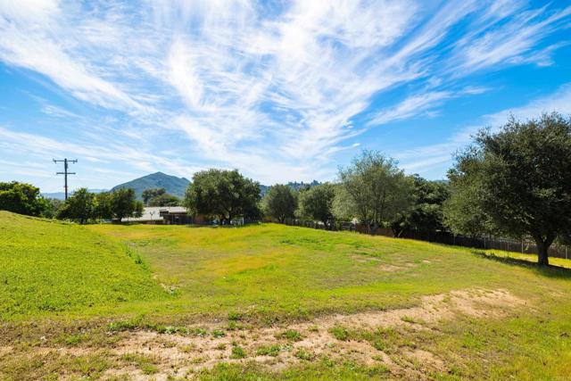 Detail Gallery Image 53 of 57 For 2717 Alexander Dr, Escondido,  CA 92029 - 4 Beds | 2/1 Baths