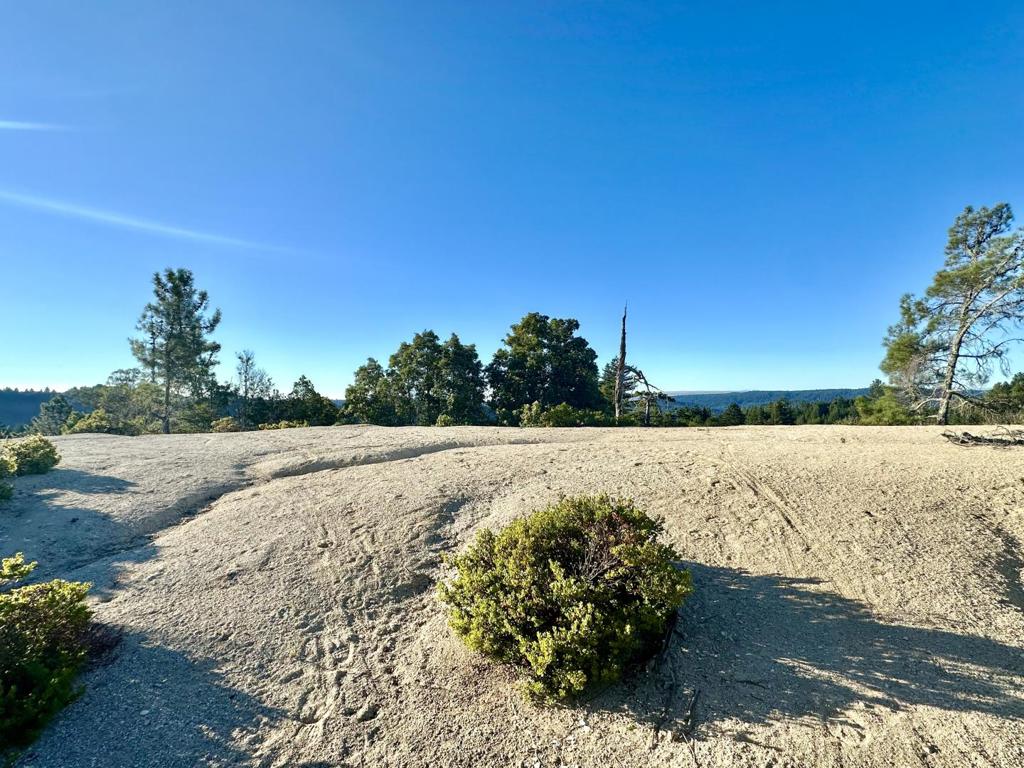 MLS #ML81977847 image #5