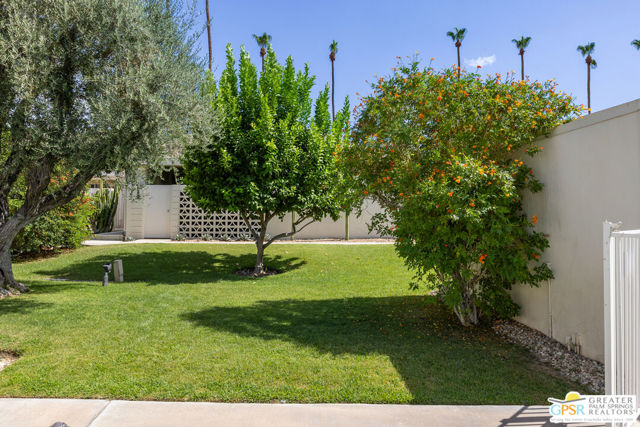 1821 Sandcliff Road, Palm Springs CA: https://media.crmls.org/mediaz/2eb9f00f-ae3b-4a8b-8352-1df314b4c01f.jpg