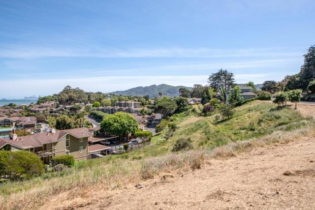 124 Mission Drive, Mill Valley CA: https://media.crmls.org/mediaz/2eba8553-6139-4da4-a730-b71b26b744e1.jpg