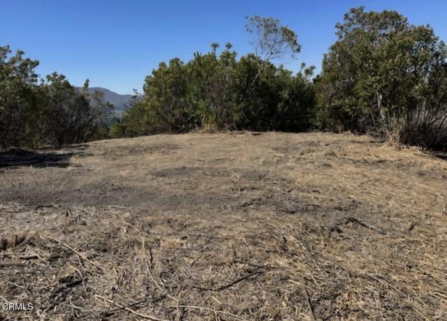 0 Fremlin Drive, Fillmore CA: https://media.crmls.org/mediaz/2ebb226f-82f4-45d0-9d6e-a215586c97c9.jpg