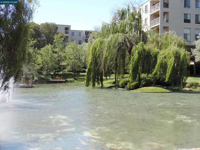 470 N Civic Dr., Walnut Creek CA: https://media.crmls.org/mediaz/2ec27459-81f2-4062-94ca-9034cb90cd02.jpg