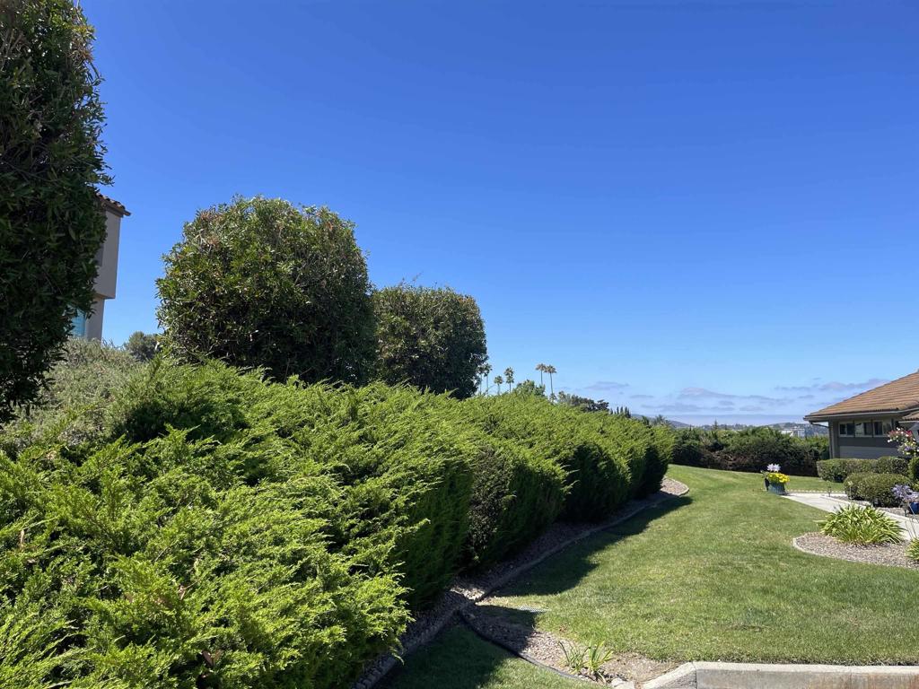 17309 Plaza Maria - photo 3
