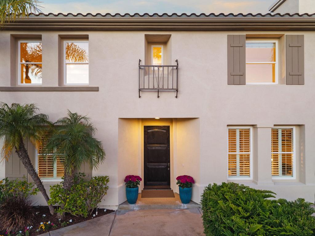 6584 Coneflower - photo 4