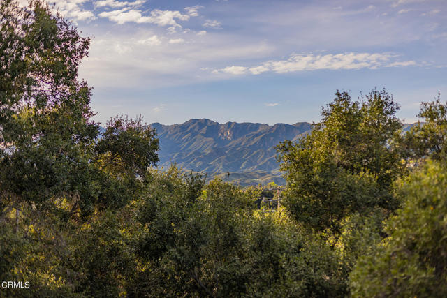 Detail Gallery Image 29 of 42 For 11966 N Ventura Ave, Ojai,  CA 93023 - 3 Beds | 2 Baths