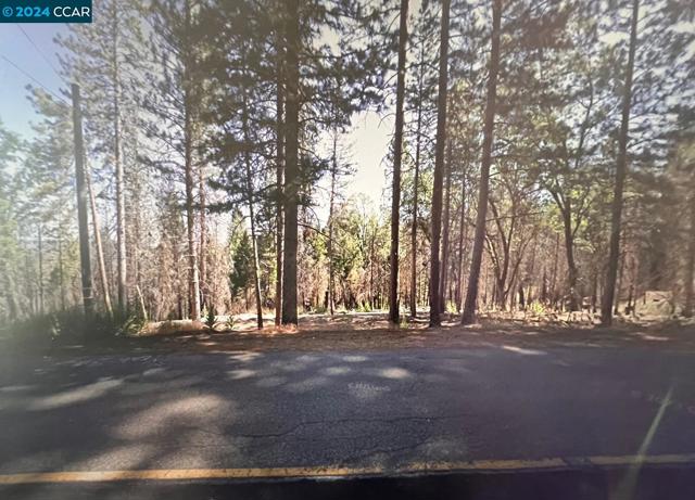 Image 1 of 7 For 9893 Grizzly Flat Rd